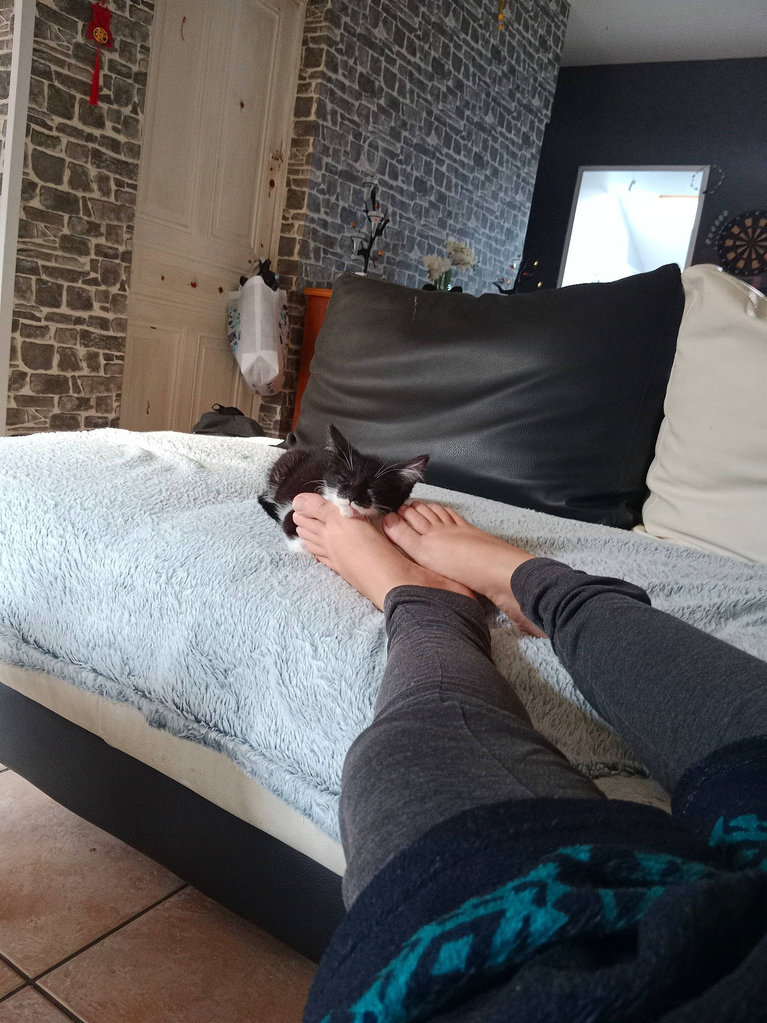 Kitty participe au concours pour gagner de l'argent avec cette photo : azure, bed, bed_frame, bedding, bedroom, comfort, couch, floor, flooring, grey, hardwood, house, human_leg, interior_design, linens, living_room, pillow, textile, thigh, wood