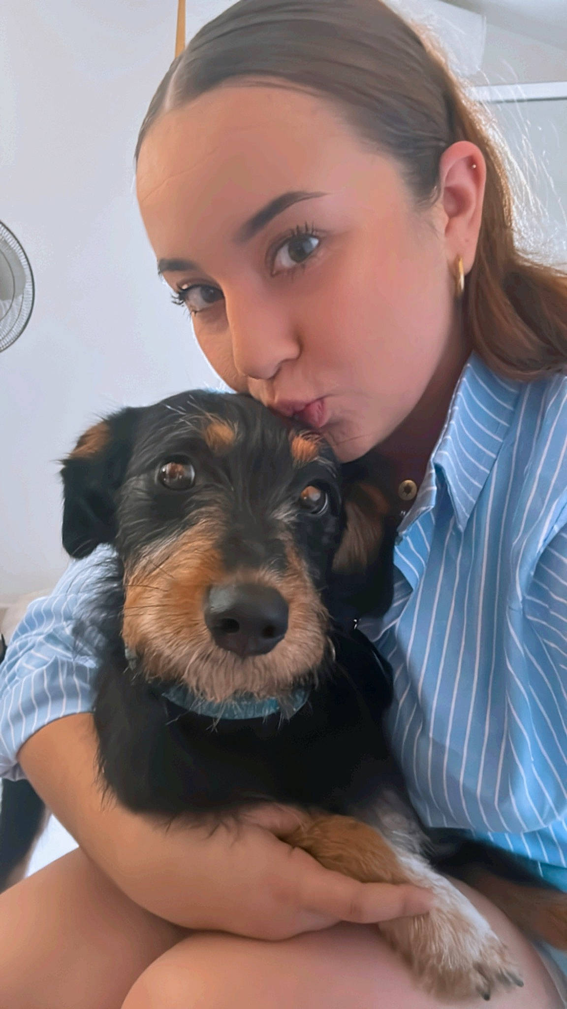 Bounty participe au concours pour gagner de l'argent avec cette photo : black_hair, brown_hair, canidae, carnivore, companion_dog, dog, dog_breed, ear, eyelash, eyewear, fun, fur, happy, long_hair, sitting, skin, small_terrier, sporting_group, terrier, toy_dog