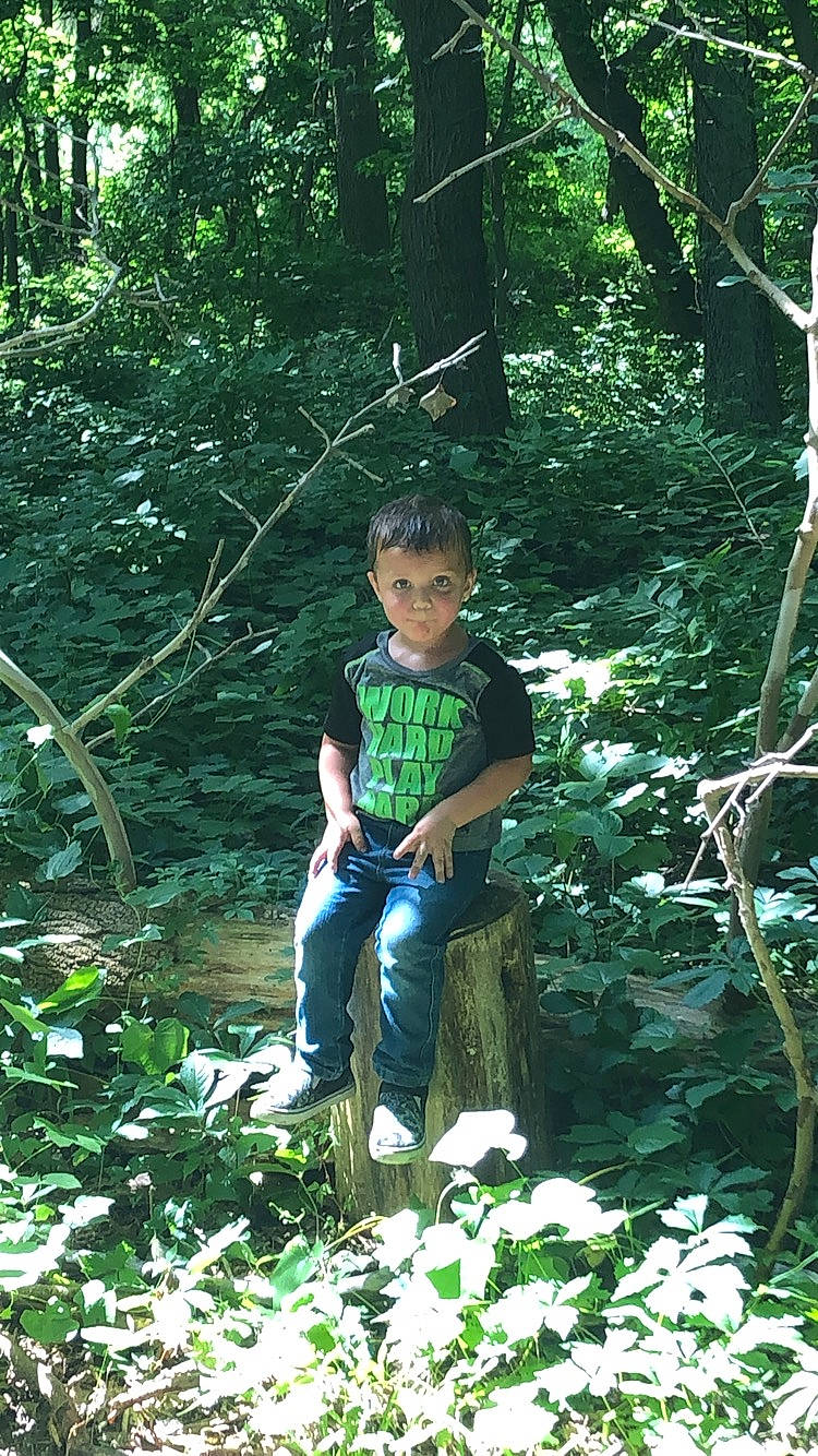 Leonardo is registered to the contest to win money with this photo: adaptation, botany, forest, jungle, natural_environment, old_growth_forest, person, plant, rainforest, terrestrial_plant, tree, valdivian_temperate_rain_forest