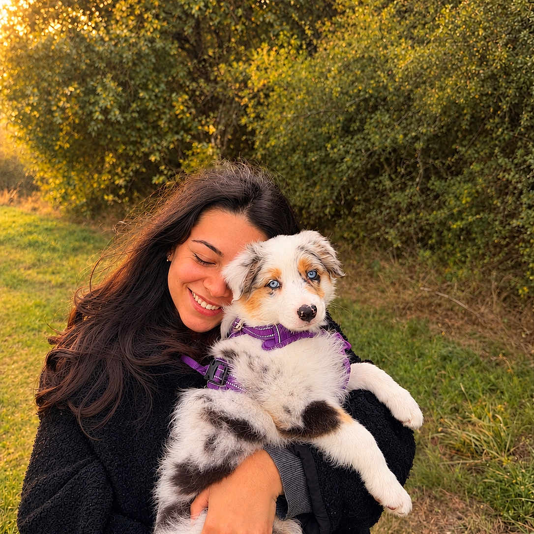 Bianca participe au concours pour gagner de l'argent avec cette photo : woman, person, puppy, dog, animal, pet, smiling, hugging, outdoor, meadow, grass, trees, nature, sunlight, golden_hour, portrait, fluffy, blue_eyes, purple_harness, cuddle