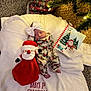 Savannah is registered to the contest to win money with this photo: baby, newborn, sleeping, pajamas, headband, bow, blanket, plush_toy, santa_claus, christmas, holiday, decorations, christmas_tree, lights, book, carpet, festive, indoor, soft, cute