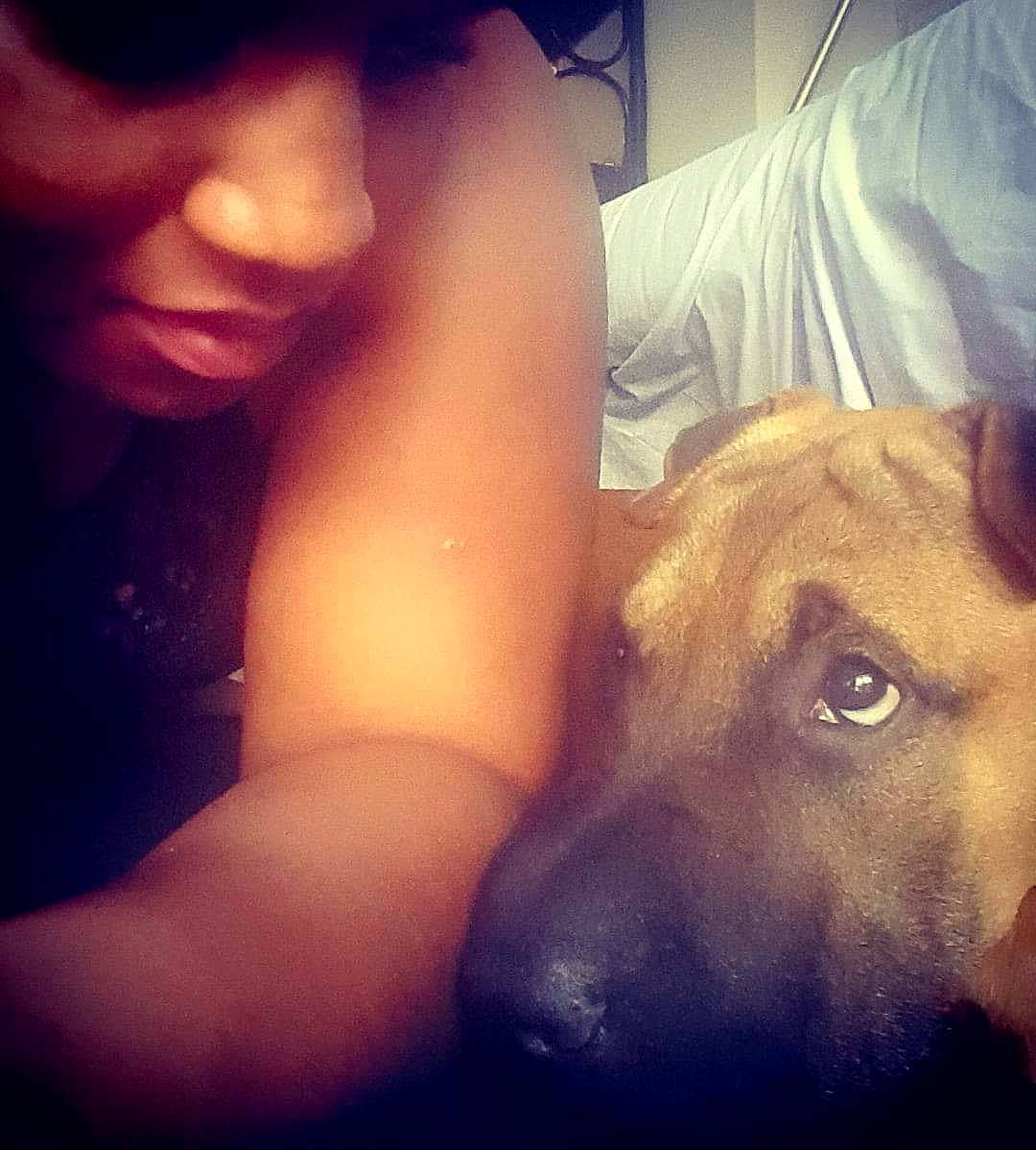 Snow participe au concours pour gagner de l'argent avec cette photo : beauty, canidae, carnivore, companion_dog, dog, dog_breed, ear, eye, face, fawn, fun, head, human, mouth, nose, photography, puppy_love, selfie, skin, snout