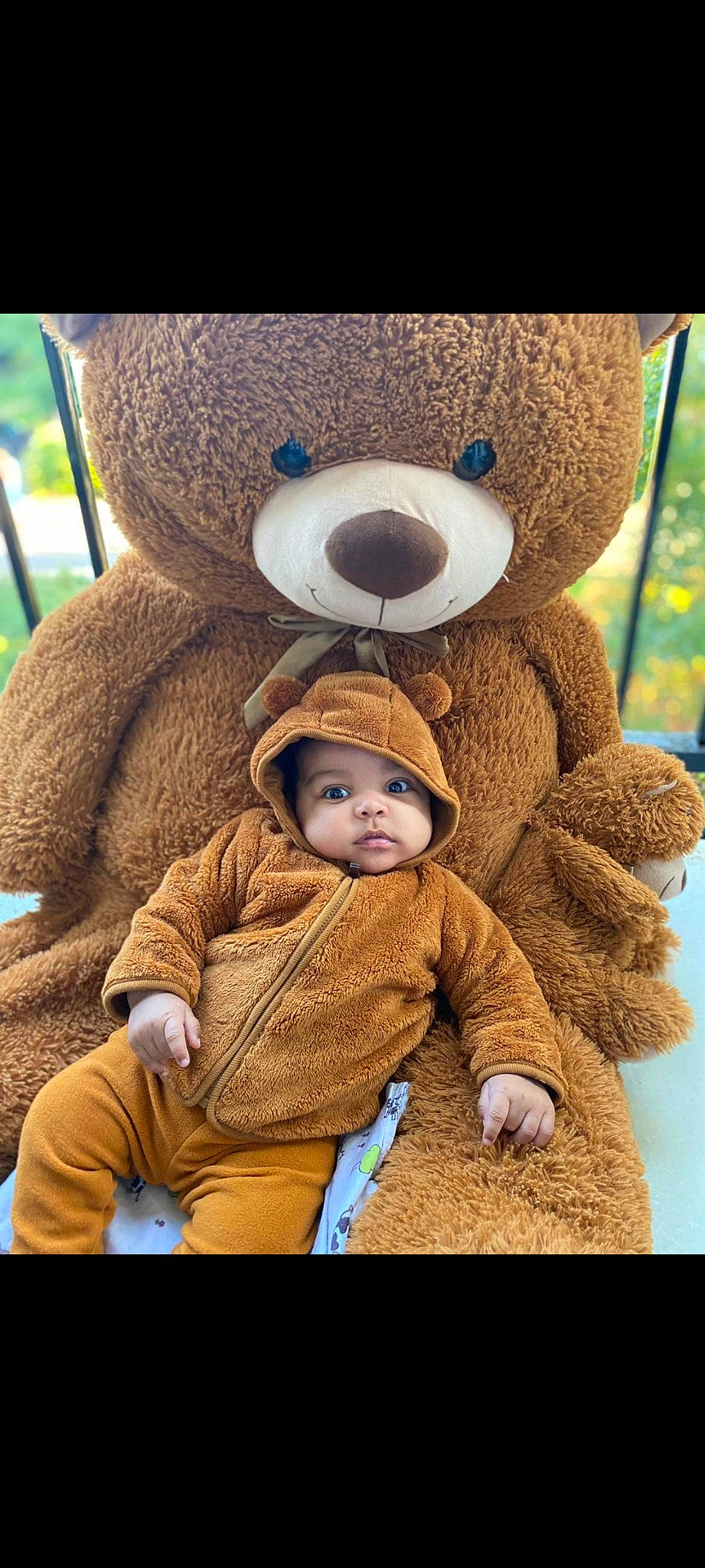 Franck-mael a rejoint le concours — aidez-le/la à gagner de superbes lots ! baby, cap, eye, fawn, fun, happy, head, headwear, nose, organism, outerwear, people, person, photograph, product, skin, stuffed_toy, teddy_bear, textile, toy