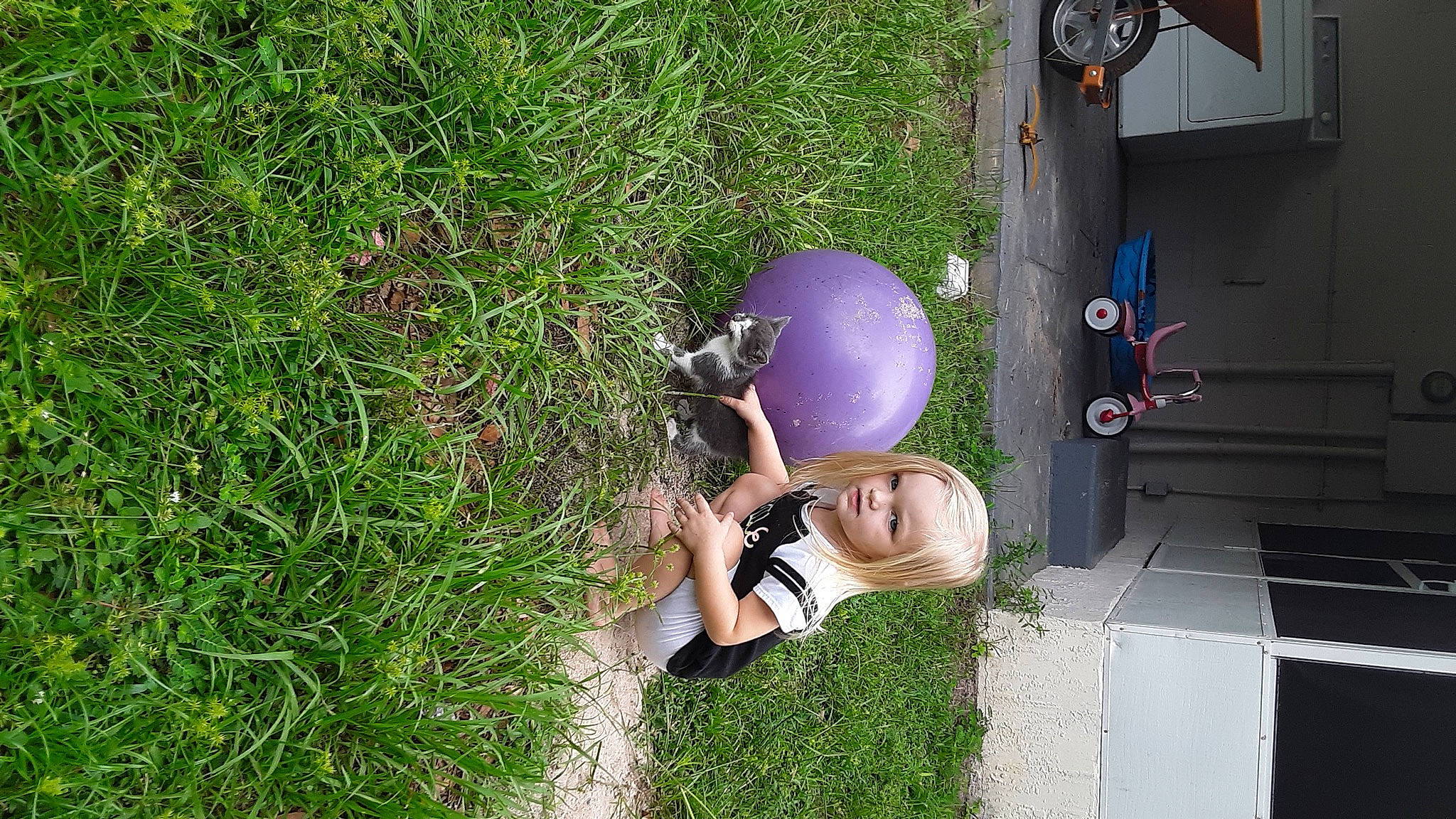 Kitty is registered to the contest to win money with this photo: backyard, fun, garden, grass, groundcover, helmet, landscape, lawn, leisure, people_in_nature, plant, shrub, toddler, vehicle_door, yard