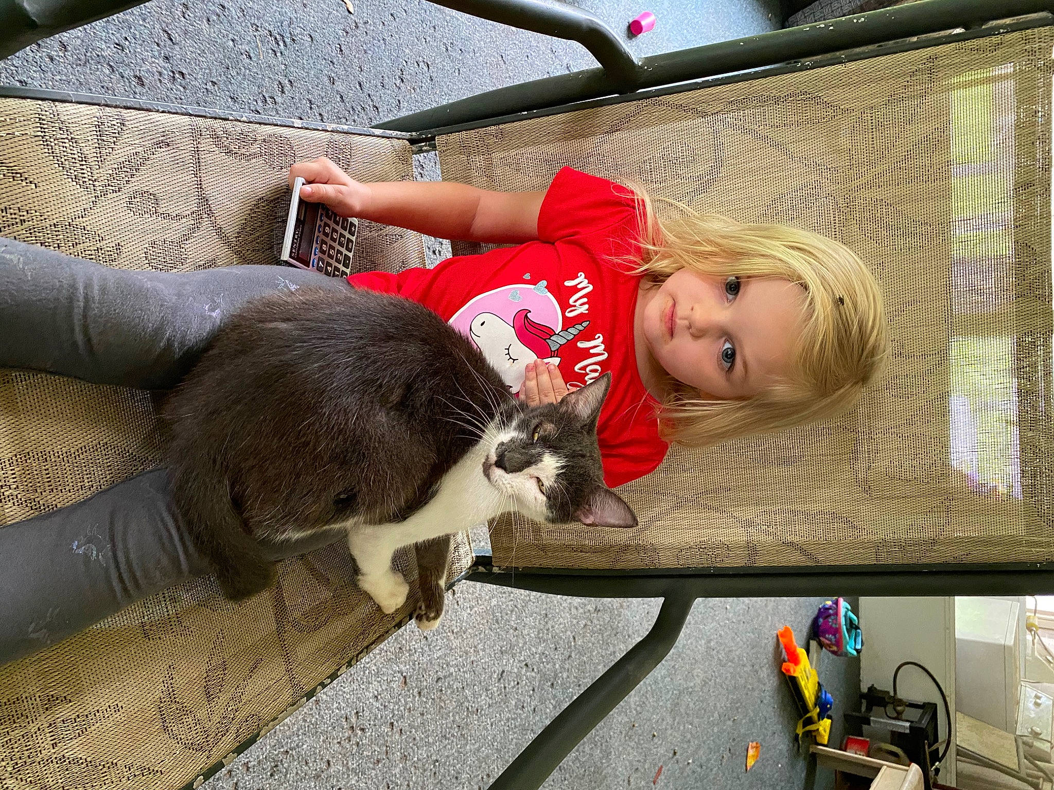 Kitty joined the competition — help win amazing prizes! automotive_tire, carnivore, cat, child, comfort, companion_dog, fawn, felidae, foot, fun, human_leg, knee, lap, leisure, small_to_medium_sized_cats, sneakers, tail, thigh, toddler, whiskers