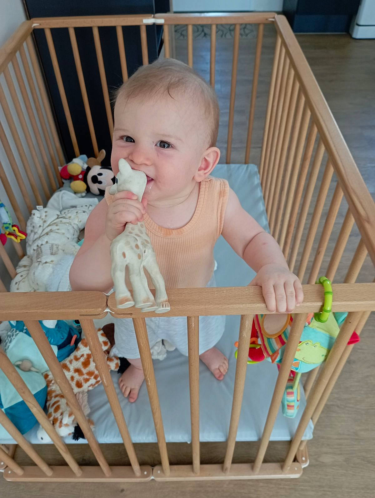 Roman participe au concours pour gagner de l'argent avec cette photo : baby, baby_playing_with_toys, baby_products, baby_safety, baby_toddler_clothing, baby_toys, chair, child, comfort, cradle, happy, hardwood, infant_bed, nursery, person, product, sitting, skin, sleeve, toddler
