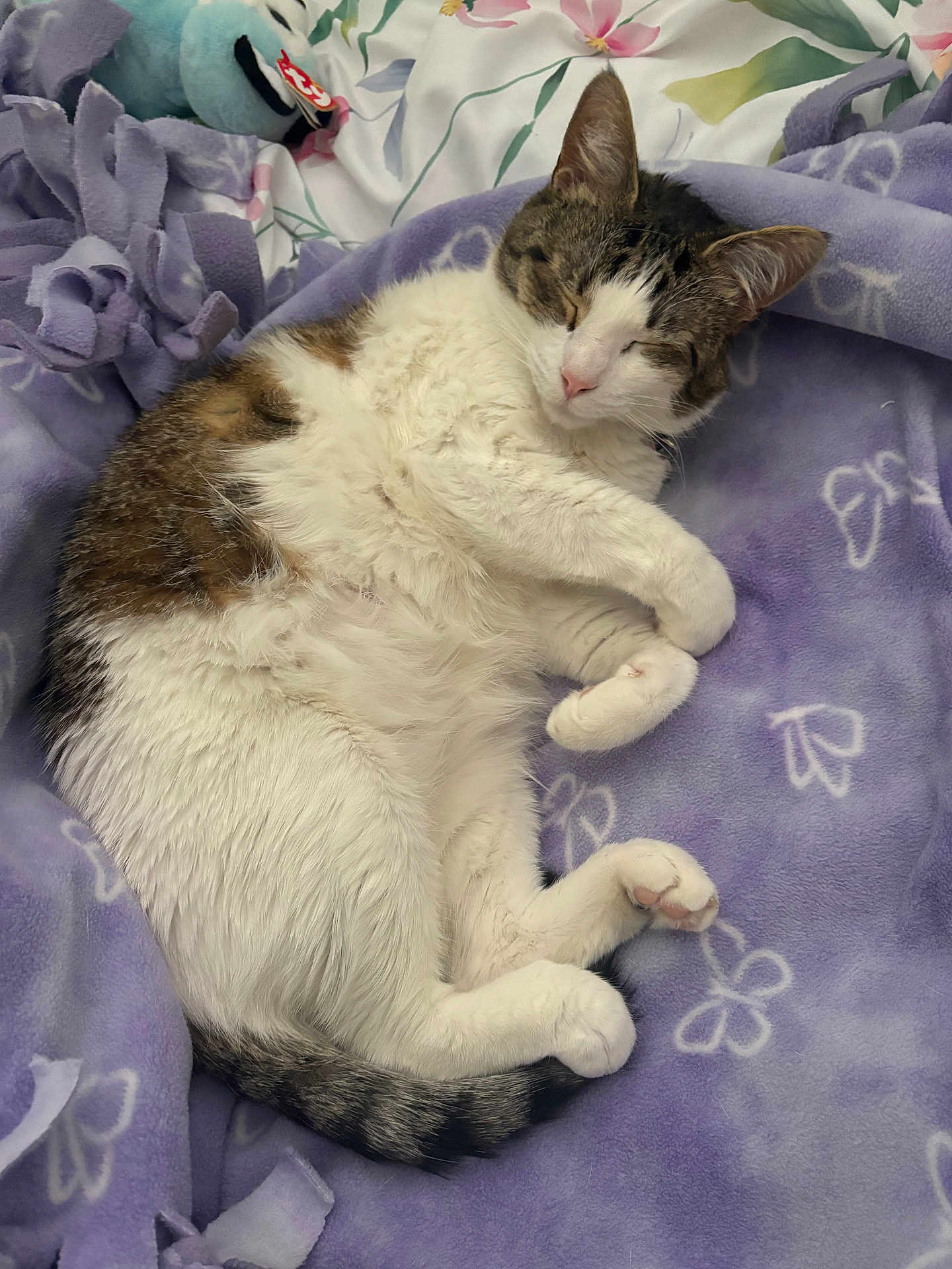 Aiko