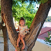 Ambre participe au concours pour gagner de l'argent avec cette photo : barefoot, bunny, casual_clothing, child, climbing, curly_hair, daytime, greenery, happy, nature, outdoor, park, person, playful, smiling, sunlight, support, toddler, toy, tree