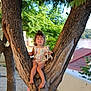 barefoot, bunny, casual_clothing, child, climbing, curly_hair, daytime, greenery, happy, nature, outdoor, park, person, playful, smiling, sunlight, support, toddler, toy, tree