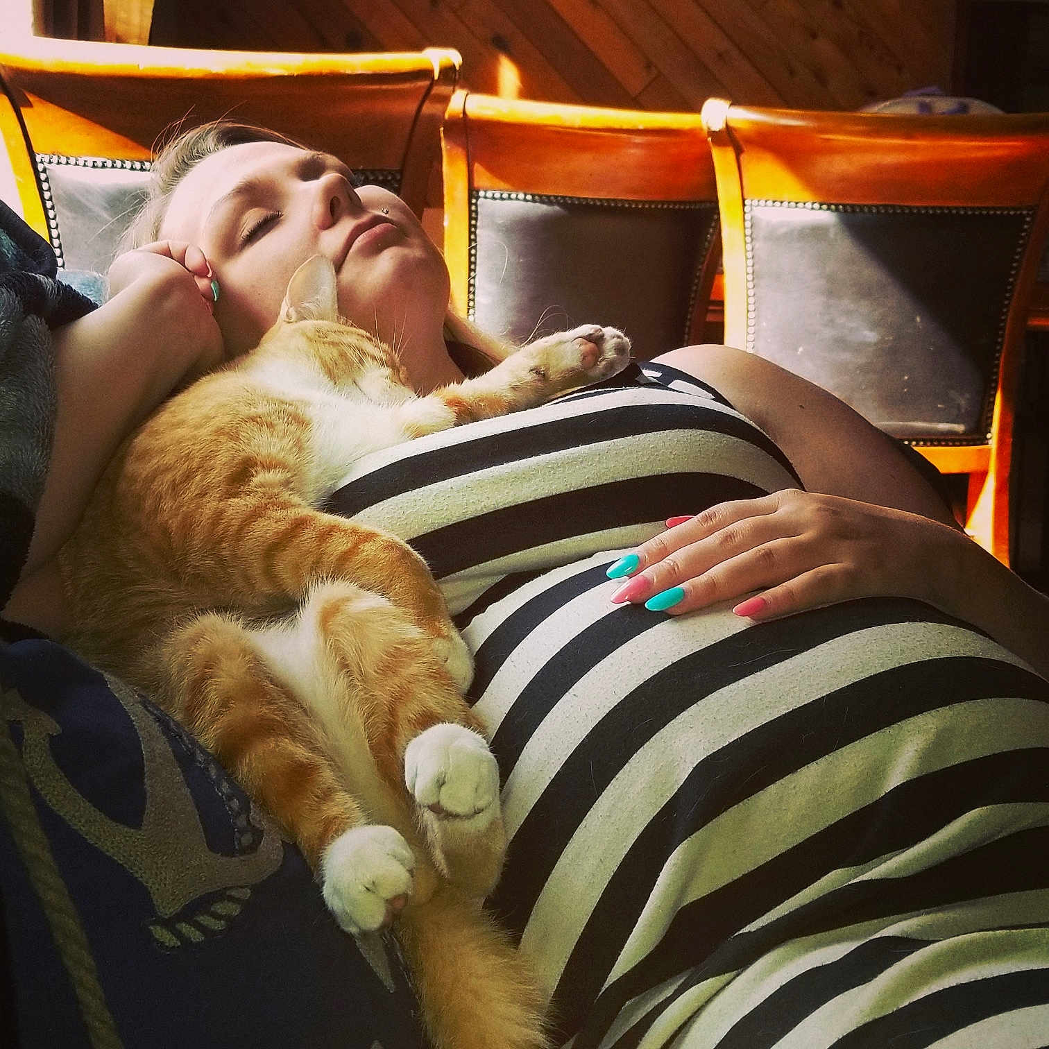 Chuck Norris is registered to the contest to win money with this photo: carnivore, cat, felidae, nap, sleep, small_to_medium_sized_cats, whiskers