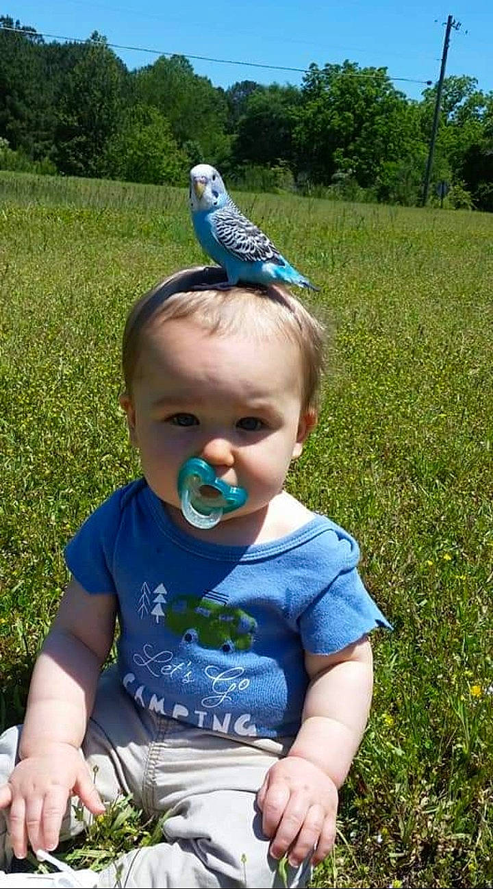 Atlas joined the competition — help win amazing prizes! baby, baby_toddler_clothing, bird, blue, fun, grass, grassland, green, happy, lawn, leaf, light, meadow, people_in_nature, person, plant, summer, sunglasses, toddler, tree
