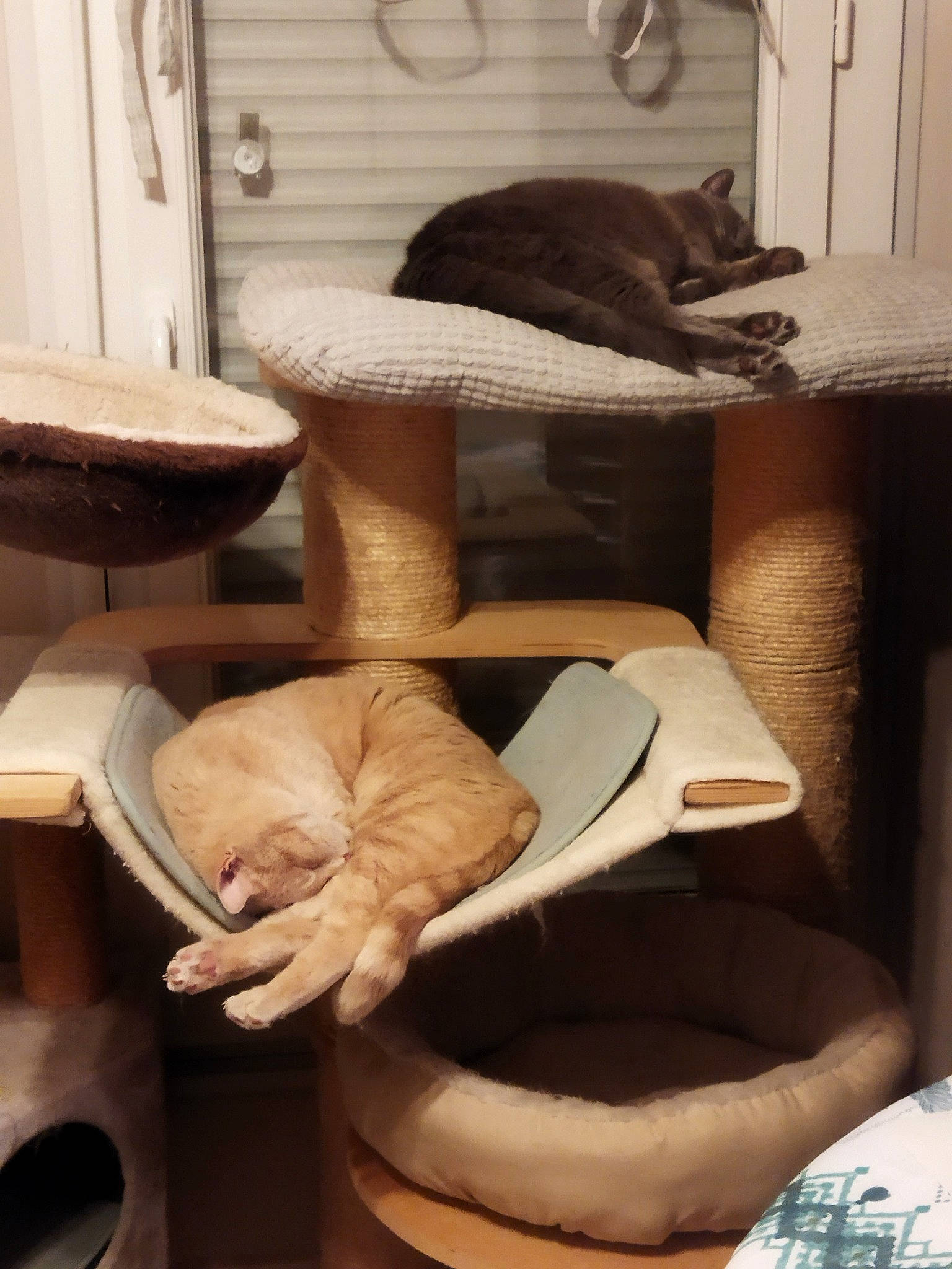 Garfield a rejoint le concours — aidez-le/la à gagner de superbes lots ! armrest, carnivore, cat, cat_bed, cat_supply, chair, comfort, domestic_short_haired_cat, fawn, felidae, fur, linens, pet_supply, room, small_to_medium_sized_cats, tail, textile, whiskers, wood, wool