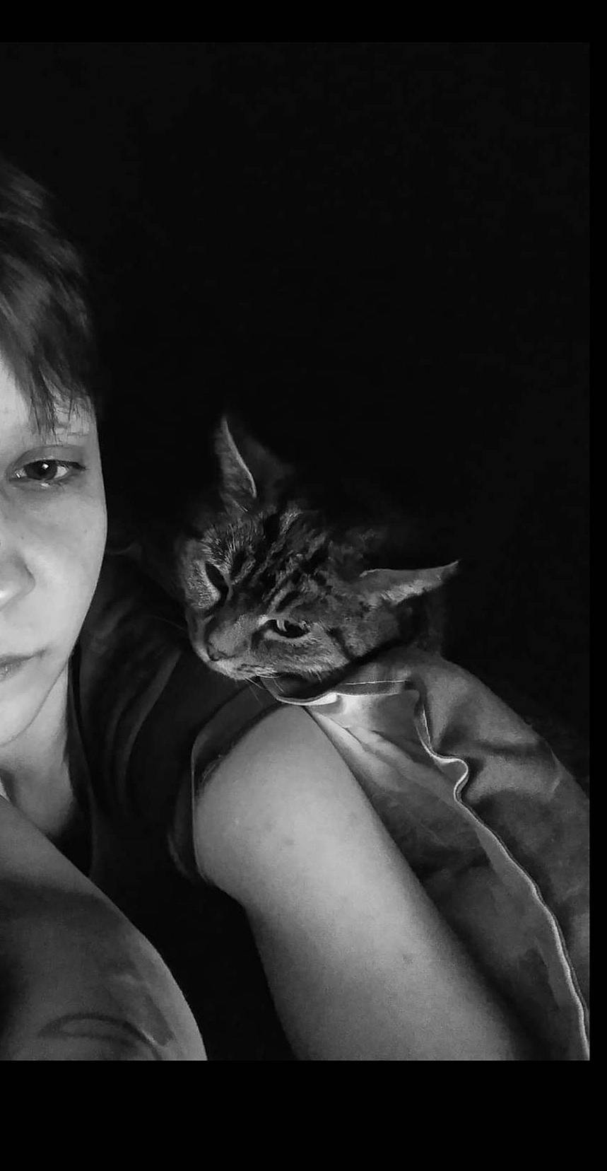 Pépette a rejoint le concours — aidez-le/la à gagner de superbes lots ! asian, beauty, black, black_and_white, carnivore, cat, darkness, ear, eye, felidae, flash_photography, hand, kitten, monochrome, monochrome_photography, photography, small_to_medium_sized_cats, tabby_cat, whiskers, white