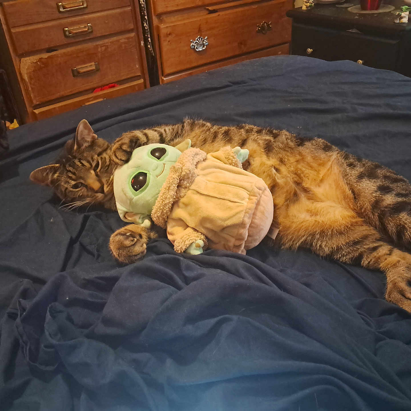Krueger joined the competition — help win amazing prizes! animal, baby_yoda, bed, black_cat, blanket, cat, cozy, cute, domestic, drawer, furniture, indoor, nightstand, pet, plush_toy, relaxing, room, sleepy, soft_toy, tabby_cat