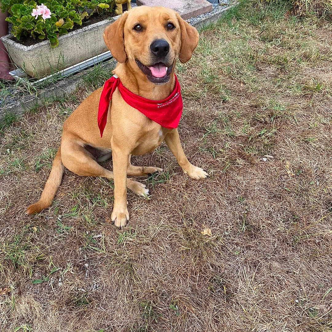 Bella