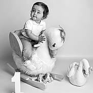 Lottie is registered to the contest to win money with this photo: baby, child, toddler, rocking_toy, swan, stuffed_animal, plush, number_one, birthday, portrait, monochrome, indoor, cute, clothing, jeans, socks, toy, seat, decor, expression