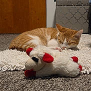 Trigger joined the competition — help win amazing prizes! animal, carpet, cat, cozy, cute, feline, indoor, kitten, ottoman, patterned_furniture, pet, plush_toy, red_ears, red_feet, resting, rug, sheep_toy, sleeping, white_rug, wooden_door