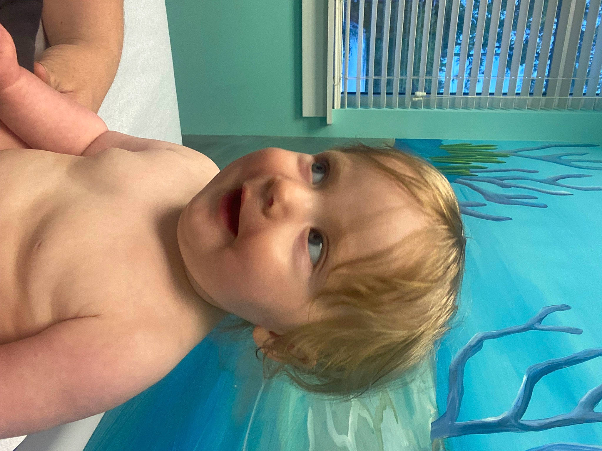 Dahlia joined the competition — help win amazing prizes! azure, baby, cheek, chin, eye, eyebrow, eyelash, face, green, happy, head, human_body, iris, mouth, neck, nose, organ, person, product, shelf