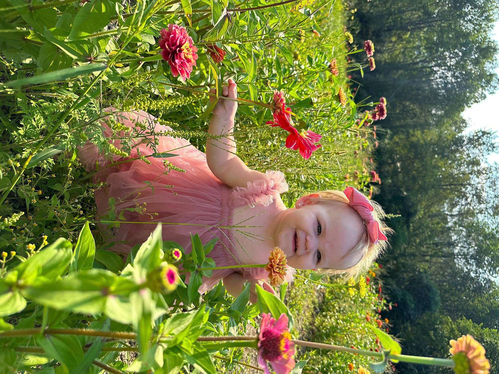 Geneva joined the competition — help win amazing prizes! baby_laughing, baby_toddler_clothing, botany, flower, flowering_plant, grass, groundcover, happy, joy, leaf, magenta, people_in_nature, person, petal, pink, plant, rose_family, shrub, smile, terrestrial_plant