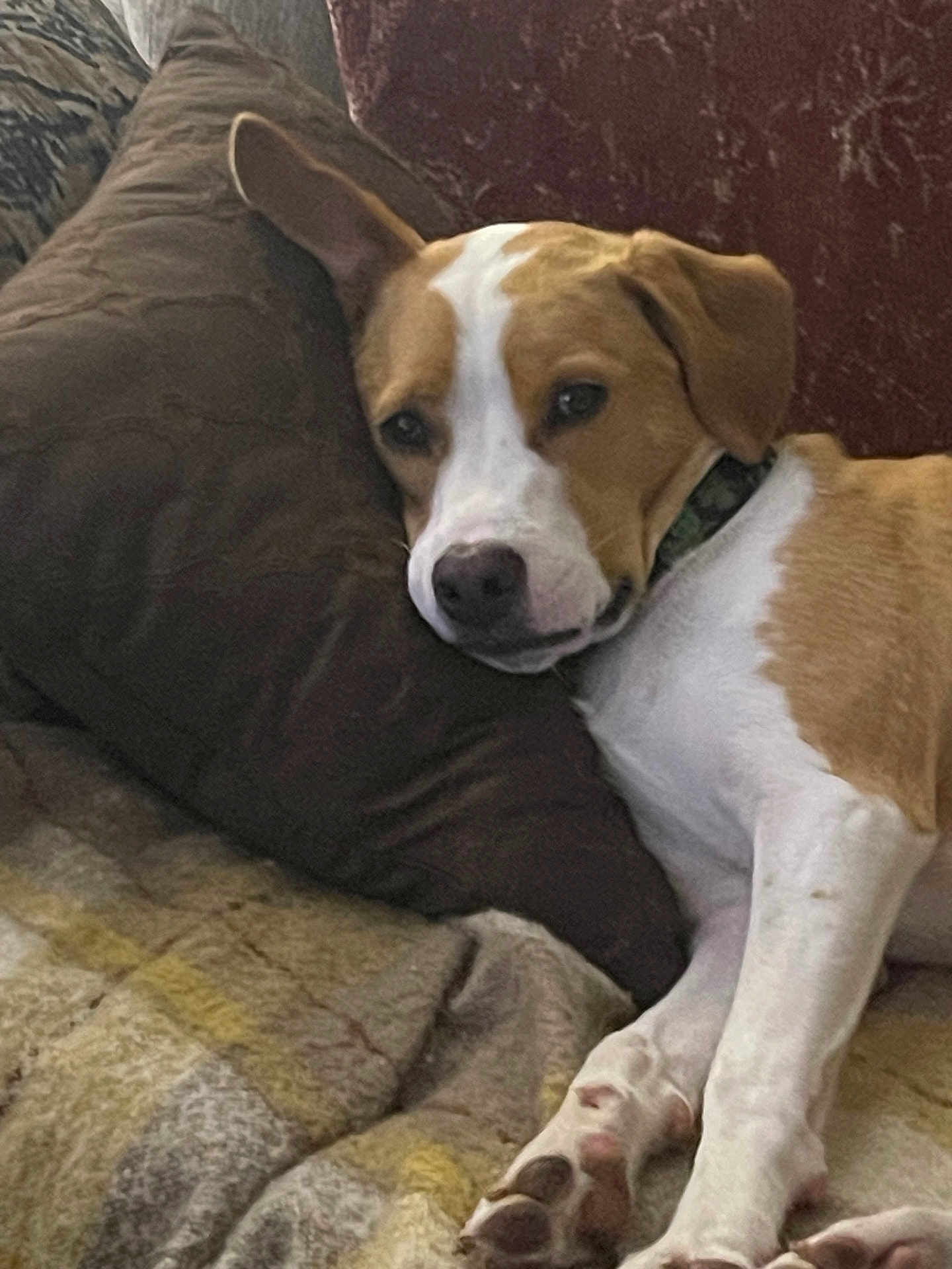 Seamus