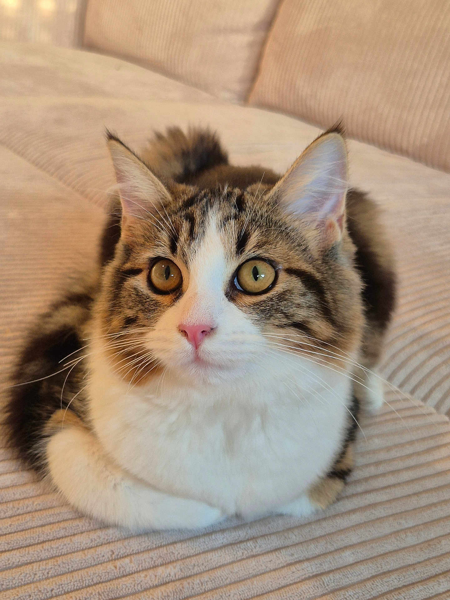 Glinda