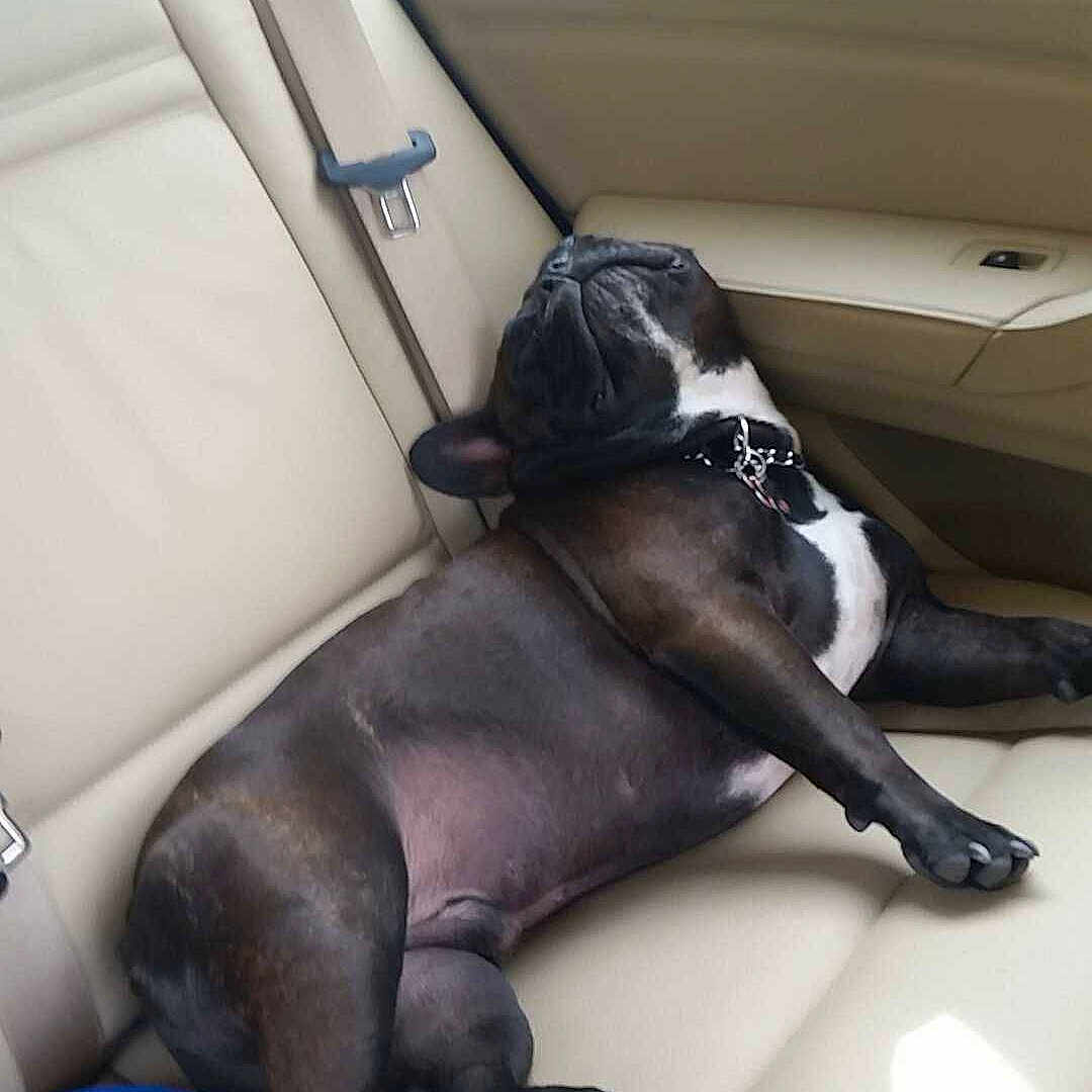 Gomez joined the competition — help win amazing prizes!