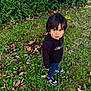 child, toddler, grass, leaves, autumn, outdoor, greenery, hoodie, sneakers, curious, standing, nature, young, person, casual_clothing, fall, daylight, shoes, bush, lawn