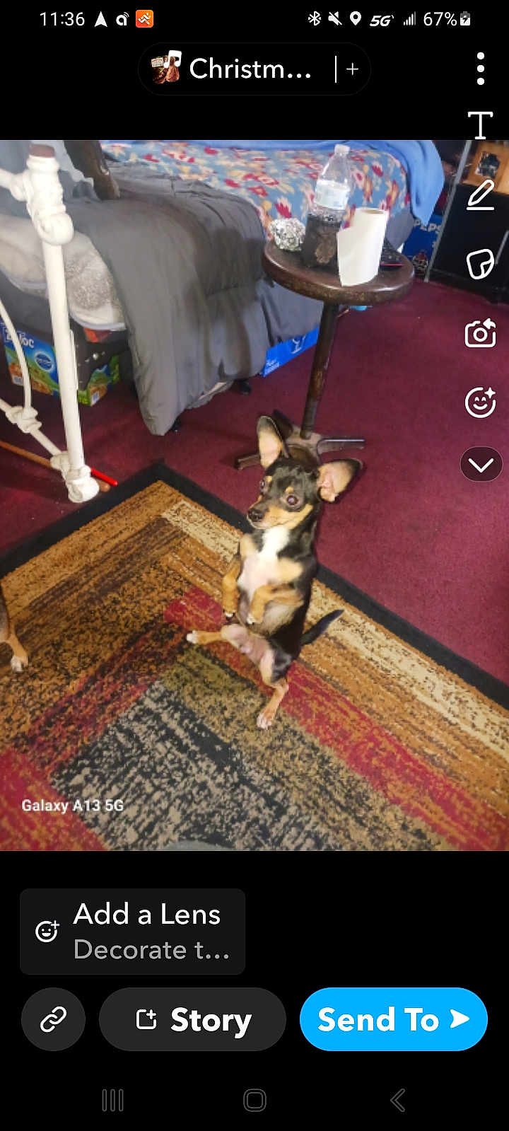 Bebe