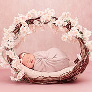 Esme joined the competition — help win amazing prizes! newborn, baby, swaddled, sleeping, basket, flowers, cherry_blossoms, pink, headband, soft, cozy, portrait, infant, cute, peaceful, wrapped, decorative, studio, tender, resting