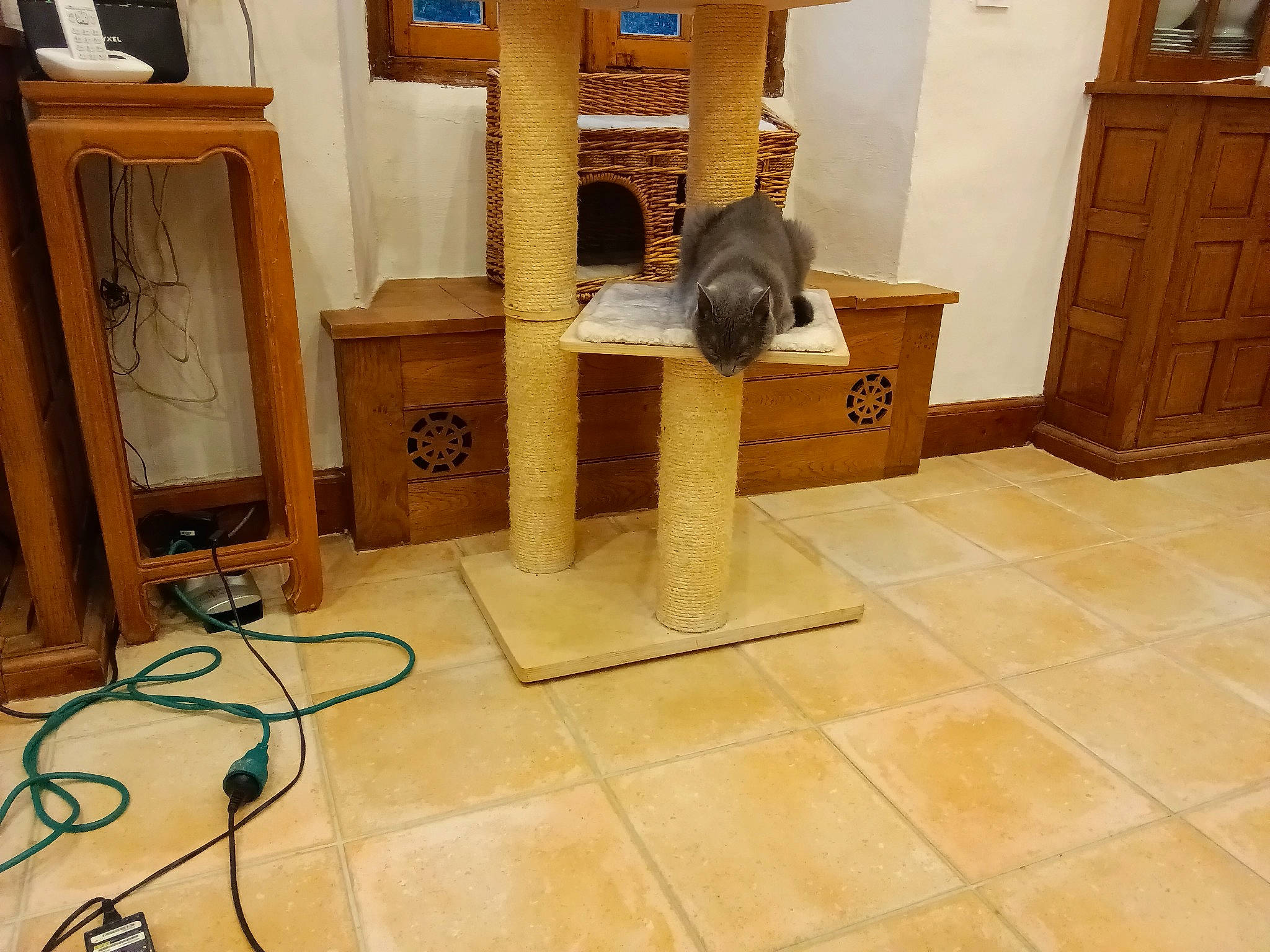 Indiana participe au concours pour gagner de l'argent avec cette photo : cabinetry, cat, cat_supply, cupboard, door, drawer, dresser, felidae, floor, flooring, hardwood, pet_supply, plywood, room, shelf, shelving, tile_flooring, wire, wood, wood_stain