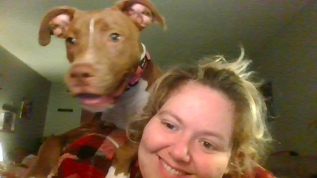 Hazel Mae joined the competition — help win amazing prizes! carnivore, collar, companion_dog, dog, dog_breed, dog_supply, ear, eye, eyelash, fawn, gesture, happy, jaw, liver, mouth, neck, nose, pet_supply, smile, working_animal