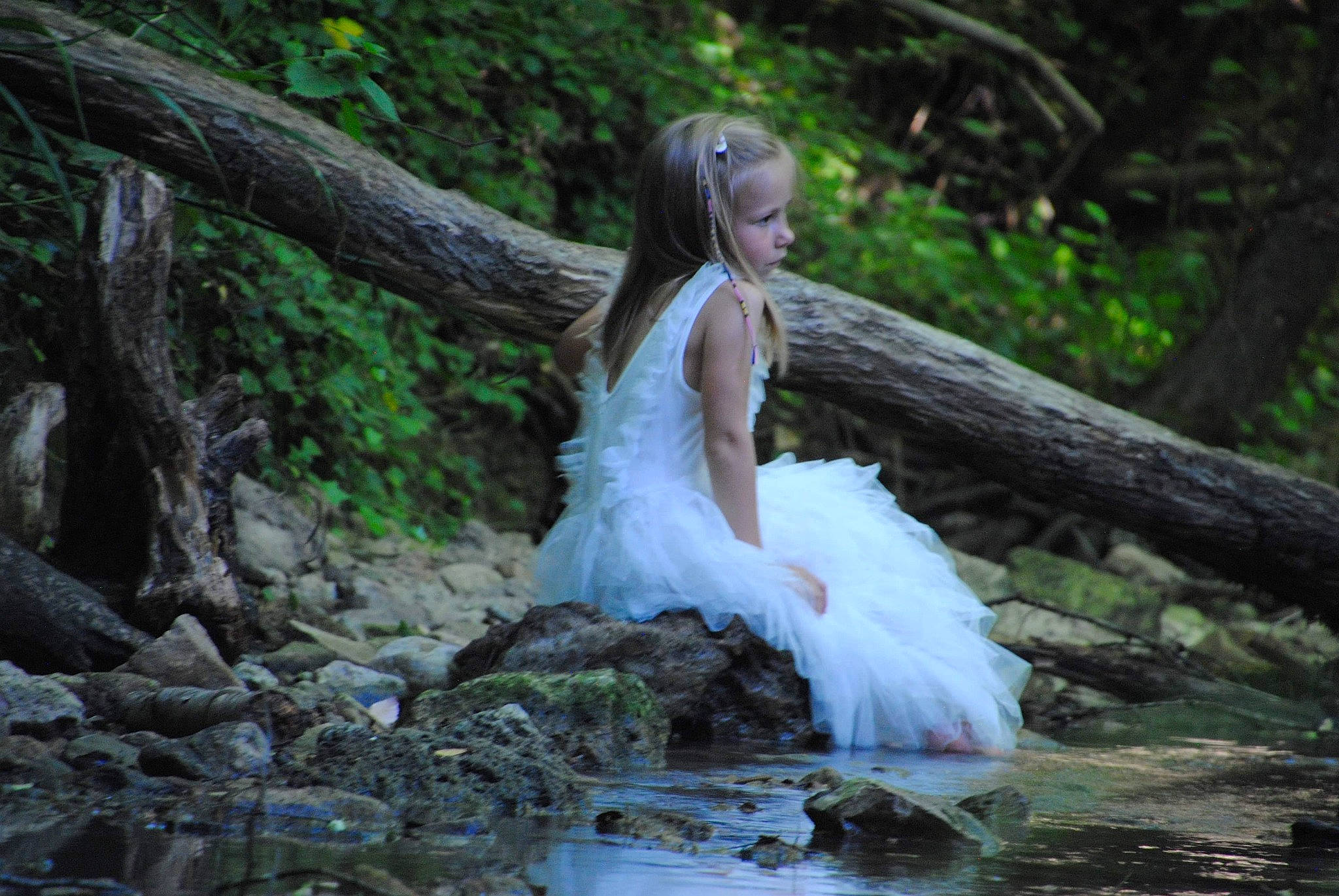 Maï-lann a rejoint le concours — aidez-le/la à gagner de superbes lots ! branch, bridal_clothing, bridal_party_dress, bride, dress, flash_photography, forest, gown, grass, happy, landscape, natural_environment, natural_landscape, people_in_nature, person, plant, tree, trunk, water, wedding_dress