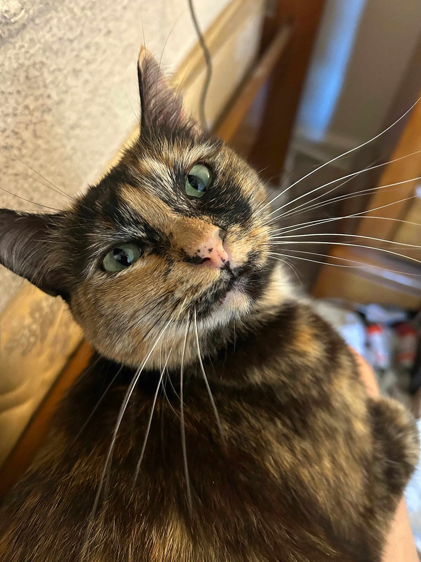 Chloe