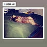 Hobbes is registered to the contest to win money with this photo: cat, bed, blanket, pillow, feline, sleeping, relaxed, indoor, fur, animal, comfort, rest, domestic, household, green, brown, cozy, napping, background, text_overlay