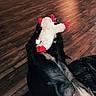 animal, black_dog, blanket, canine, cute, dog, flooring, fluffy_toy, fur, home, indoor, lying_down, paws, pet, plaid, playing, red_and_white, relaxed, toy, wooden_floor