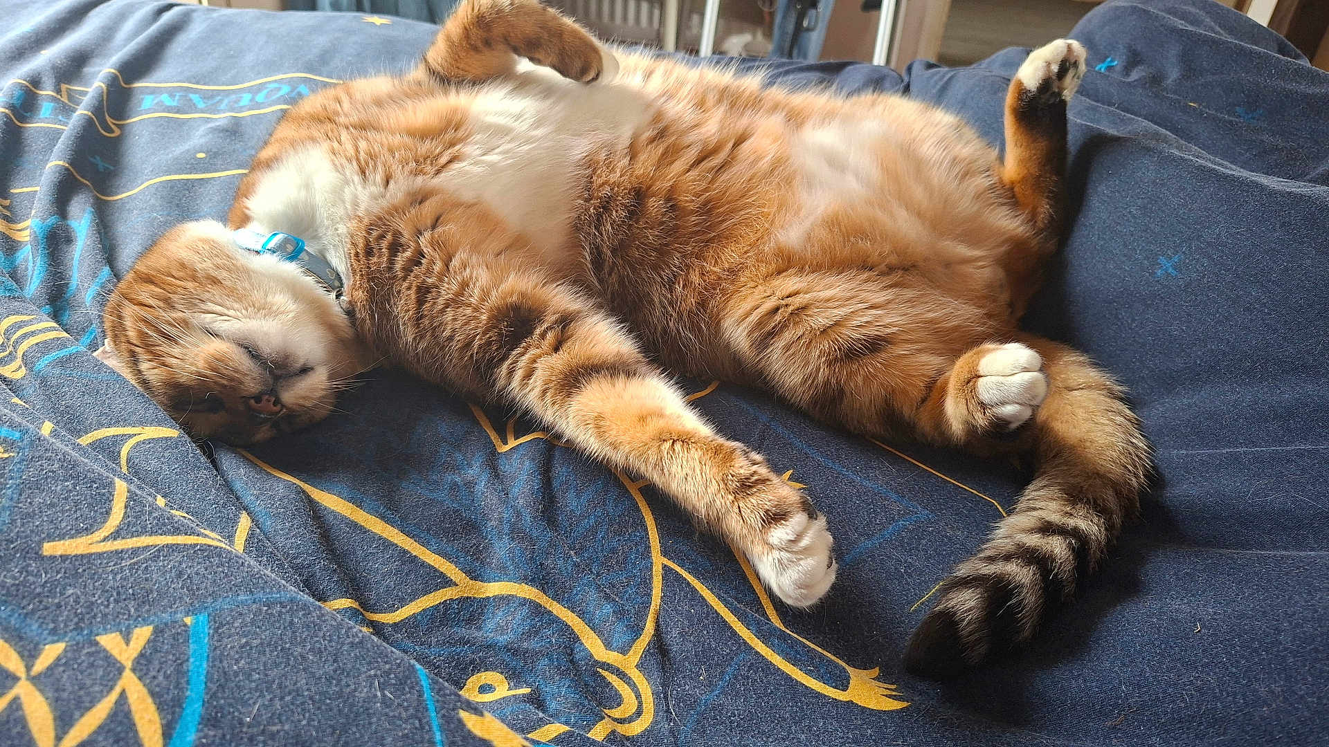 Sox