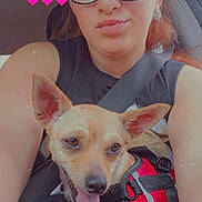 Izzy Lynn is registered to the contest to win money with this photo: woman, dog, car, selfie, glasses, seatbelt, red_harness, tongue_out, pet, happy, indoor, person, cute, animal, casual, love, heart_emoji, smile, closeup, sitting