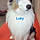 Loky