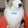 Loky