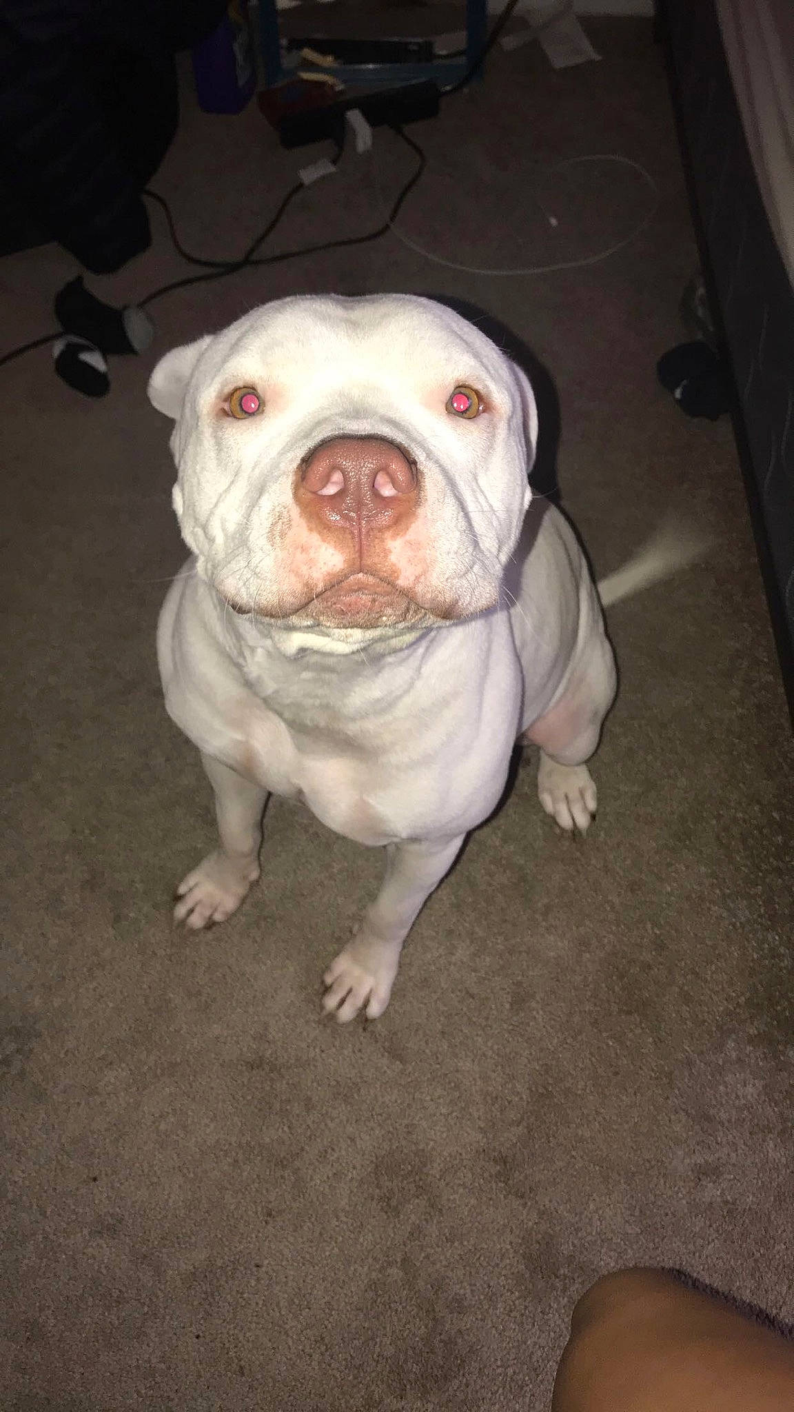 Rambo