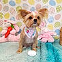 dog, small_dog, toy, plush_bunny, carrot, blanket, decor, easter, pattern, cute, pet, indoor, fur, animal, pink_bow, bandana, face, ears, sitting, colorful