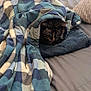 bed, blanket, blue, cat, checkered, clothing, comfort, cozy, fabric, feline, folds, indoor, jeans, nap, pet, resting, sleepy, snug, tucked_in, warm