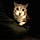 Monchat