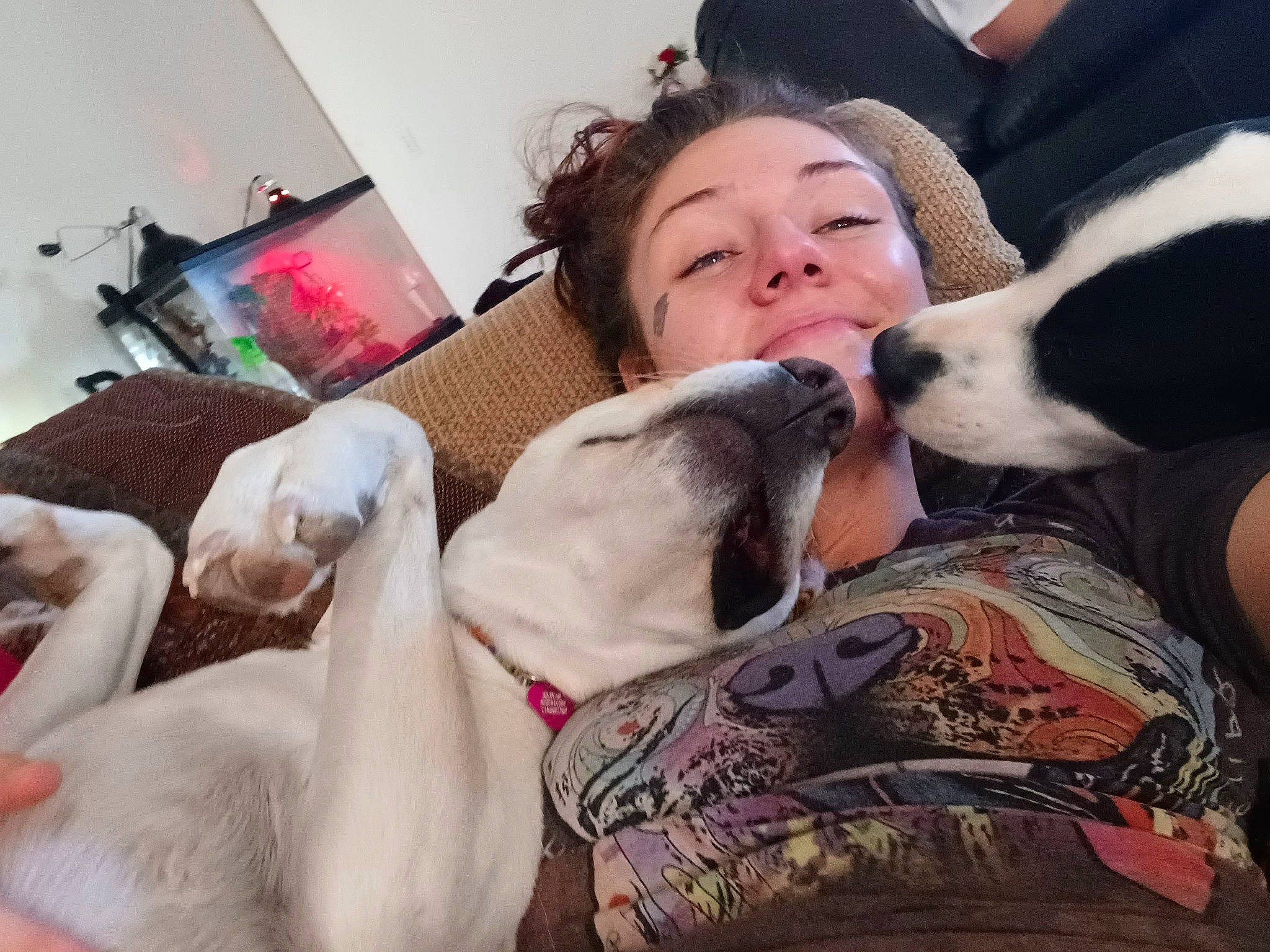 Mama is registered to the contest to win money with this photo: canidae, carnivore, comfort, companion_dog, couch, dog, dog_breed, ear, fawn, fun, fur, happy, head, nap, picture_frame, puppy_love, selfie, smile, snout, sporting_group