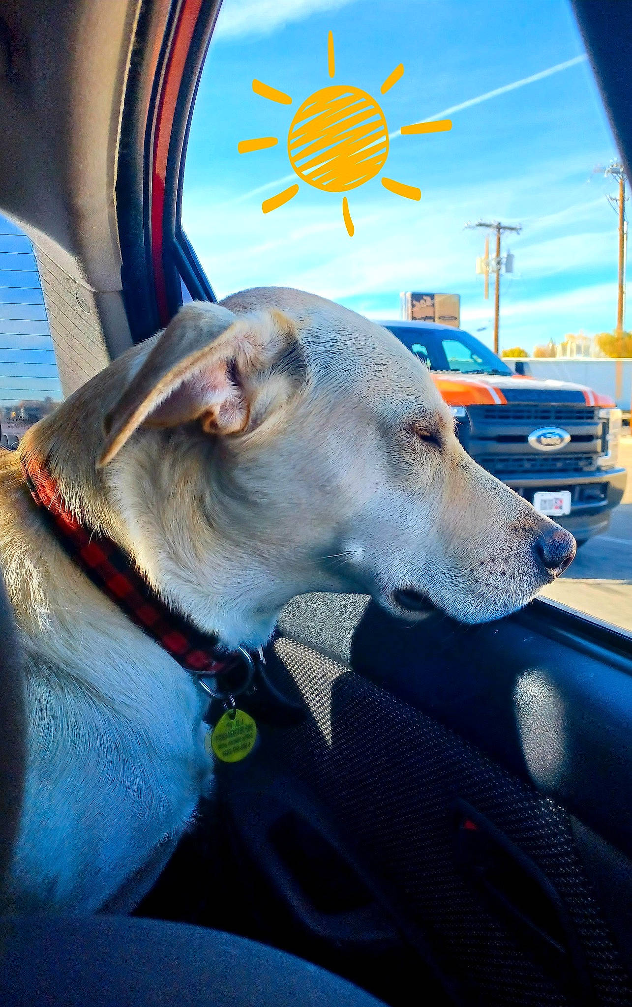 Dodge joined the competition — help win amazing prizes! aircraft, automotive_lighting, canidae, car, carnivore, collar, companion_dog, dog, dog_breed, dog_collar, fawn, hood, sky, snout, sporting_group, vehicle, vehicle_door, whiskers, windshield, working_animal