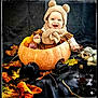 Emy participe au concours pour gagner de l'argent avec cette photo : autumn_leaves, baby, bear_hat, black_background, cat, child, costume, cute, fall, festive, happy, holiday, orange, outdoor_theme, plush_toy, portrait, pumpkin, seasonal, sitting, smiling