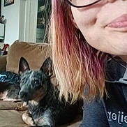 Midnight is registered to the contest to win money with this photo: person, dog, sofa, indoor, couch, eyeglasses, hair, face, pet, relaxed, home, interior, furniture, casual, brown, portrait, seated, animal, companion, colorful_hair
