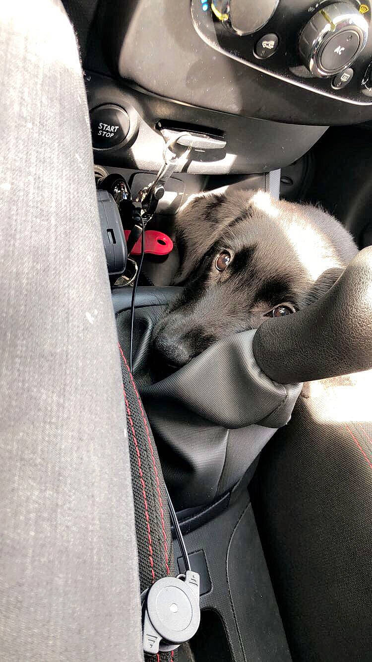 Pitt a rejoint le concours — aidez-le/la à gagner de superbes lots ! auto_part, black_and_white, car, photography, style, vehicle