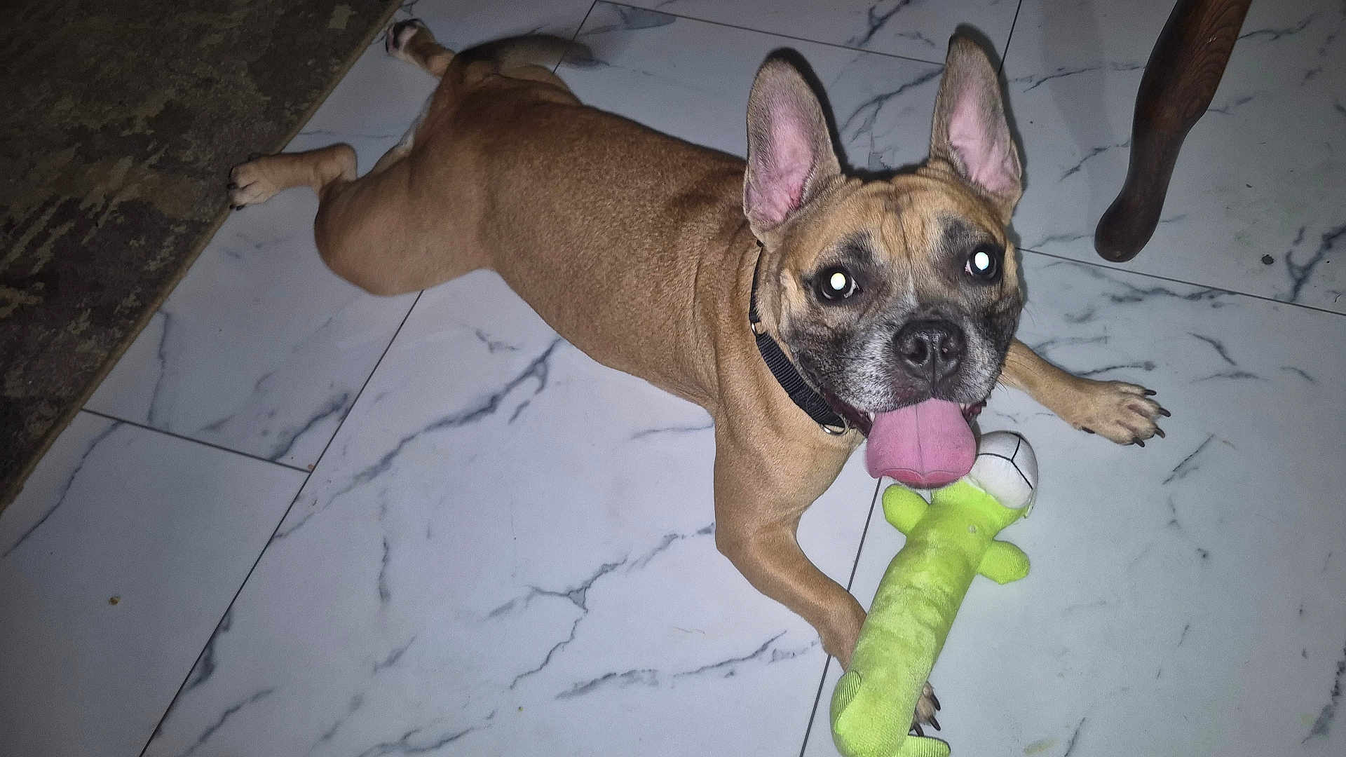 Zoe