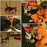 cat, kitten, boy, child, toy, play, orange_clothing, couch, colorful_blanket, indoor, floor_tiles, pet, interaction, red_toy, striped_toy, furniture, home, young_child, animal, cute